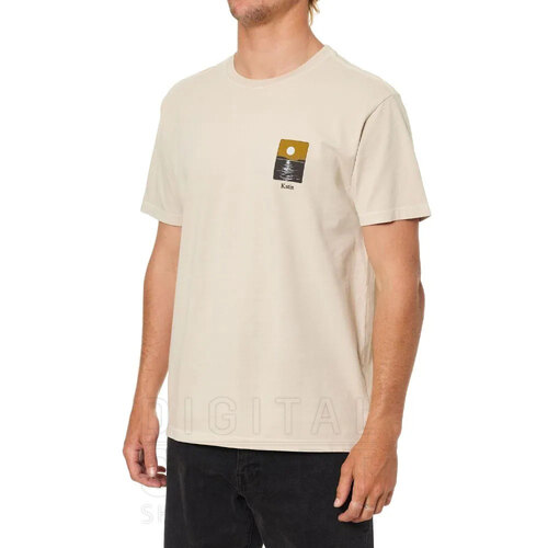 REMERA PHASES