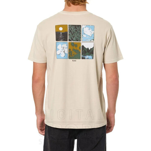 REMERA PHASES