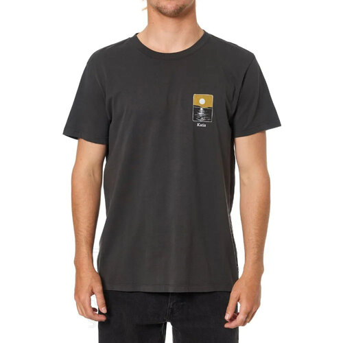 REMERA PHASES