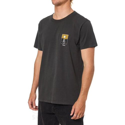 REMERA PHASES