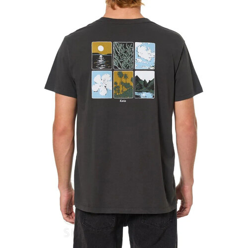 REMERA PHASES