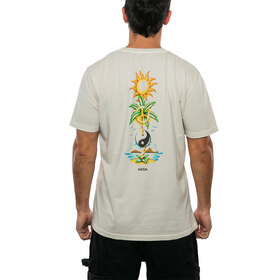 REMERA STEADY