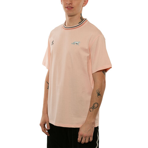 REMERA PUMAS LIFESTYLE