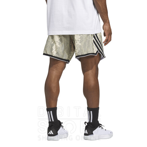 SHORT CRAZYLITE