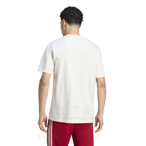 REMERA GRAPHIC OG RIVER PLATE