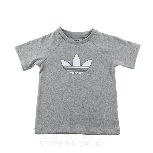 REMERA GRAPHIC TRIFOLIO