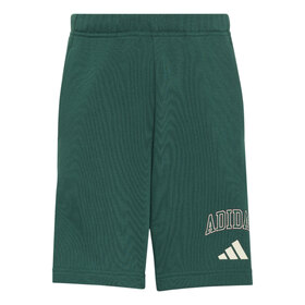SHORT TRAINING COLLEGIATE