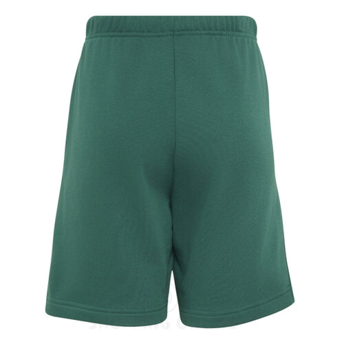 SHORT TRAINING COLLEGIATE