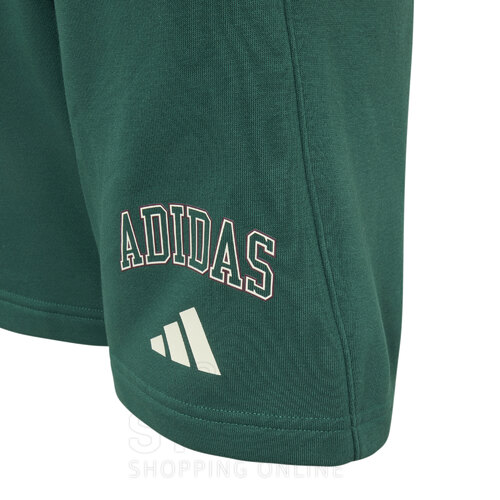 SHORT TRAINING COLLEGIATE