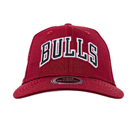 GORRA CURVED STRUCTURE BULLS