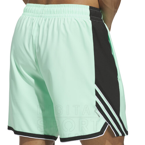 SHORT CRAZYLITE