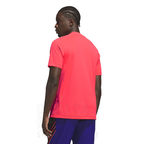 REMERA PERFORMANCE