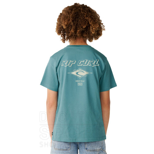 REMERA SEARCH ICON