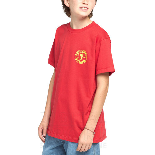 REMERA SURF TEAM JR