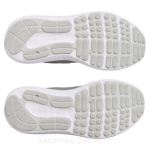 ZAPATILLAS CHARGED SURGE 4