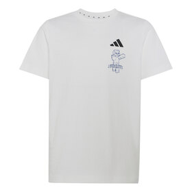 REMERA MINECRAFT KIDS
