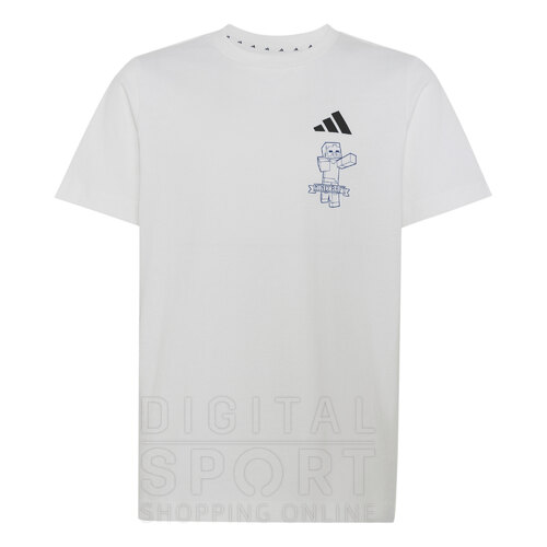 REMERA MINECRAFT KIDS