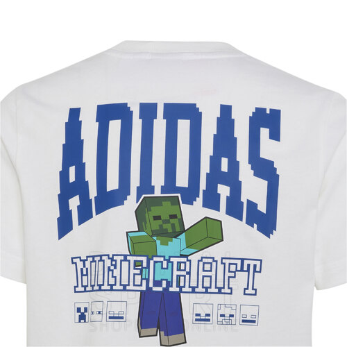REMERA MINECRAFT KIDS