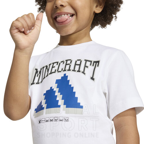 CONJUNTO MINECRAFT KIDS